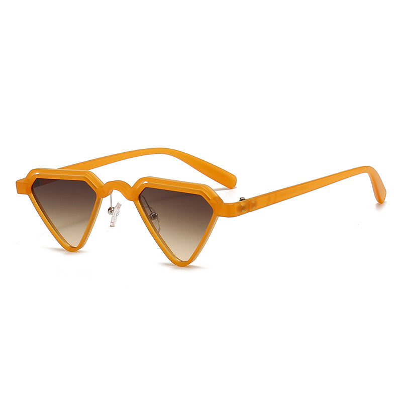 Dame trendy geometrisk solbrille Skanto
