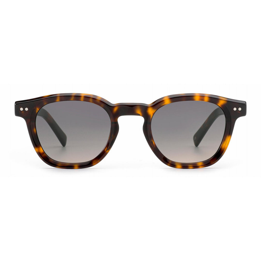 Dame fashion solbriller i stilfull retro-design Skanto