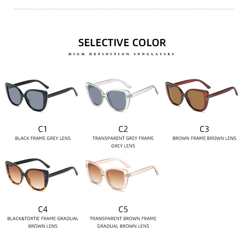 Damer glamorøs oversized solbrille med elegant gjennomsiktig ramme Skanto