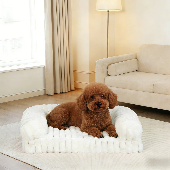 Elegant Bolstered hundesofa