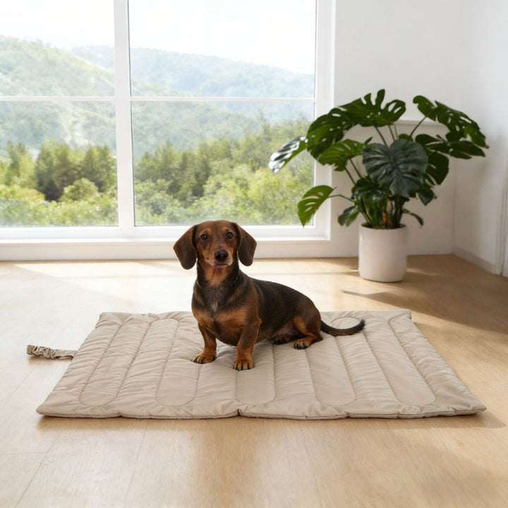 Premium quiltet hundesengmatte