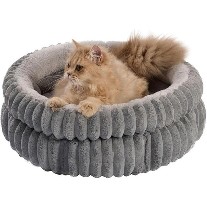 Katt seng   Hund seng