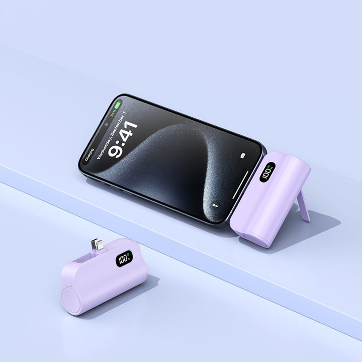 Kompakt Dual-Lade Powerbank med Digital skjerm Skanto