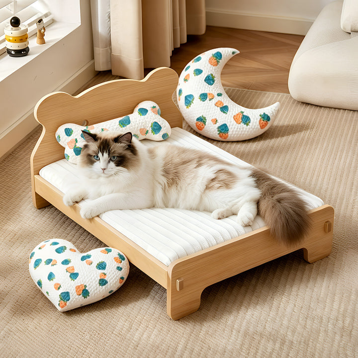 Katt bed Skanto