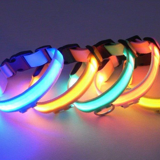 Skanto | LED Hundehalsbånd – Hold et øye med kjæledyret ditt!