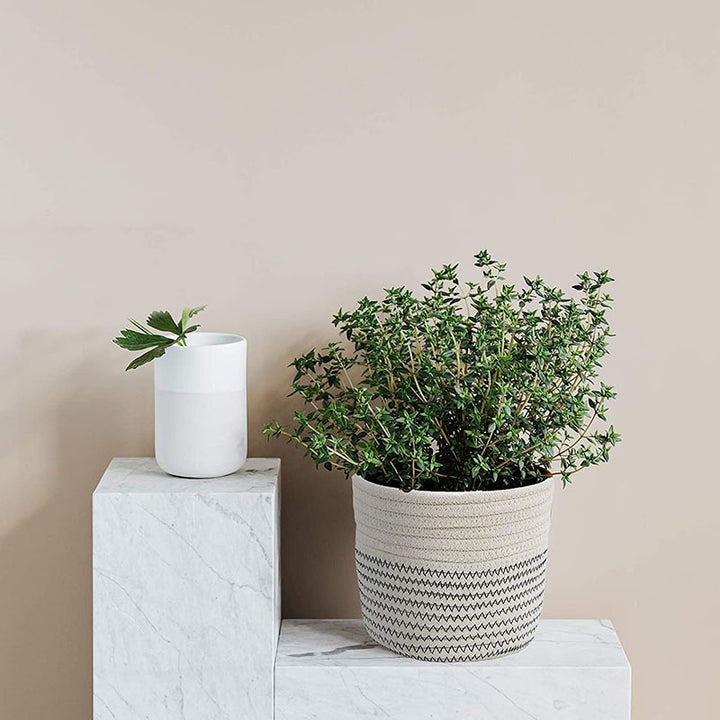 Dame Stylish Organizer-kurvsett Skanto