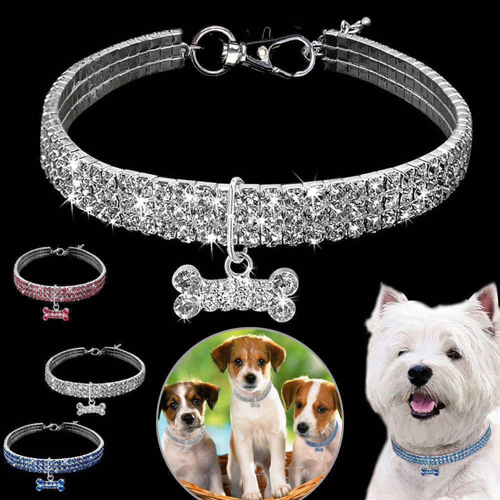 Glamorous Pet Collar – SparkleCollar Skanto