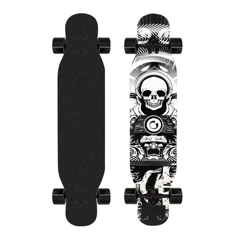 Kunstnerisk løveprydet longboard Skanto