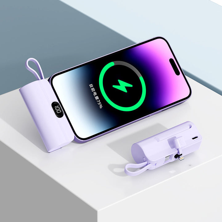 Powerbank for Skanto