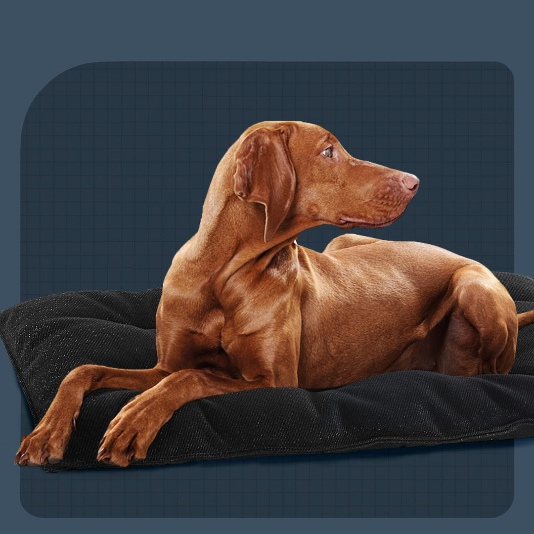 Ortopedisk  Hvilepute   Hundeseng