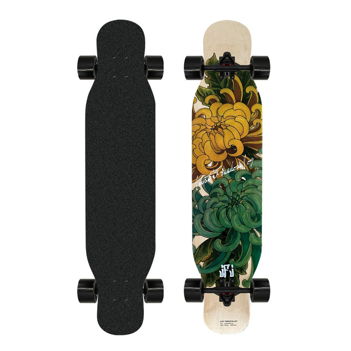 Kunstnerisk løveprydet longboard Skanto