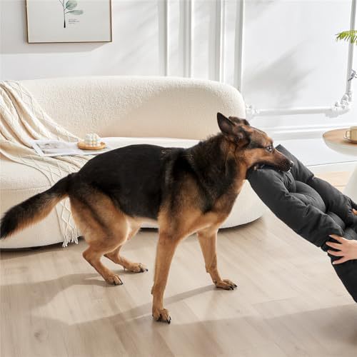 Hunde seng Skanto