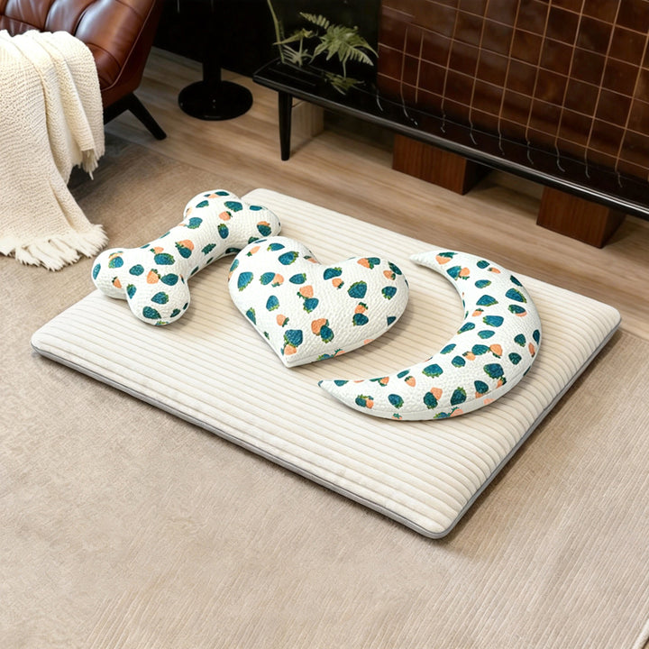 Katt bed Skanto