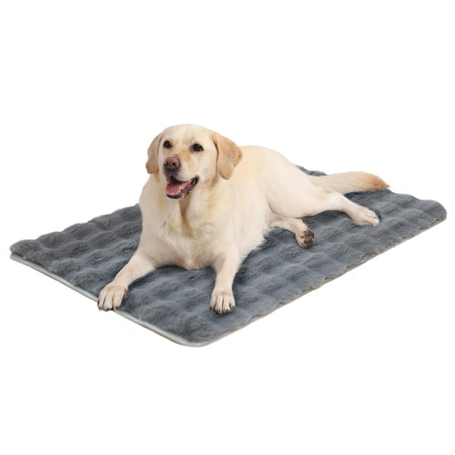 Unisex Komfortabel Hundeseng Skanto