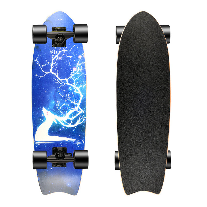 Kunstnerisk Longboard Skanto