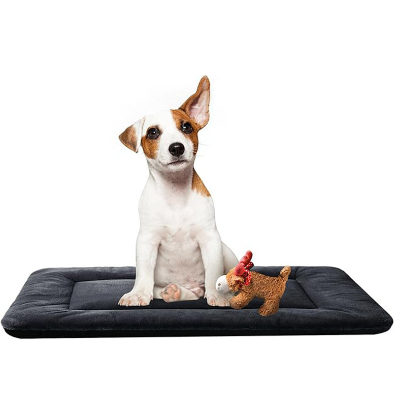 Komfort   Hundeseng