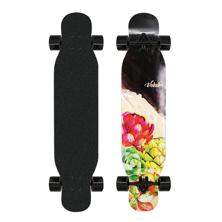 Kunstnerisk løveprydet longboard Skanto