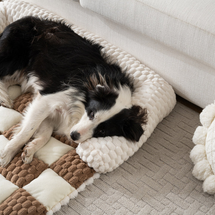 Koselig ortopedisk pute hundeseng