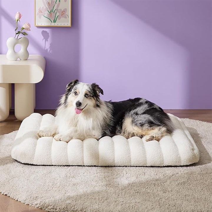 Plush ortopedisk  lounge seng   hundeseng