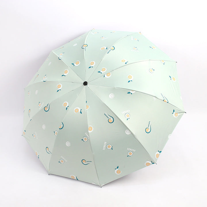 Dames sammenleggbare paraply med glade motiver Skanto