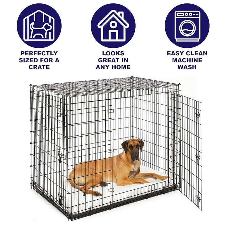 Ortopedisk Komfort  Madrass   Hundeseng