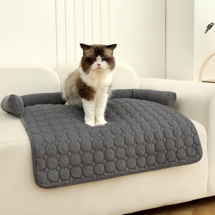 Damer Komfortabel Kattelu Skanto
