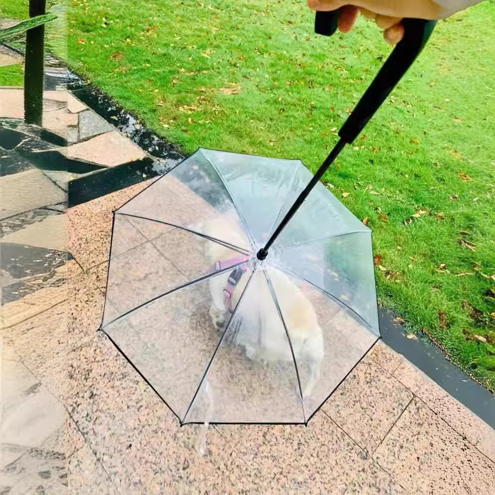 Kvinner Transparent Regn Cape Skanto