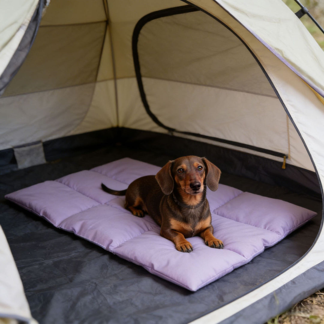 Bærbar quiltet hundesovematte