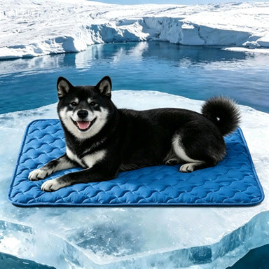 Unisex nan kjølende quiltet hundematte med sklisikker underside Skanto