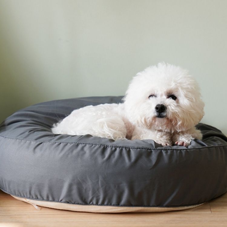Rund Plysj Loungeseng Hundeseng