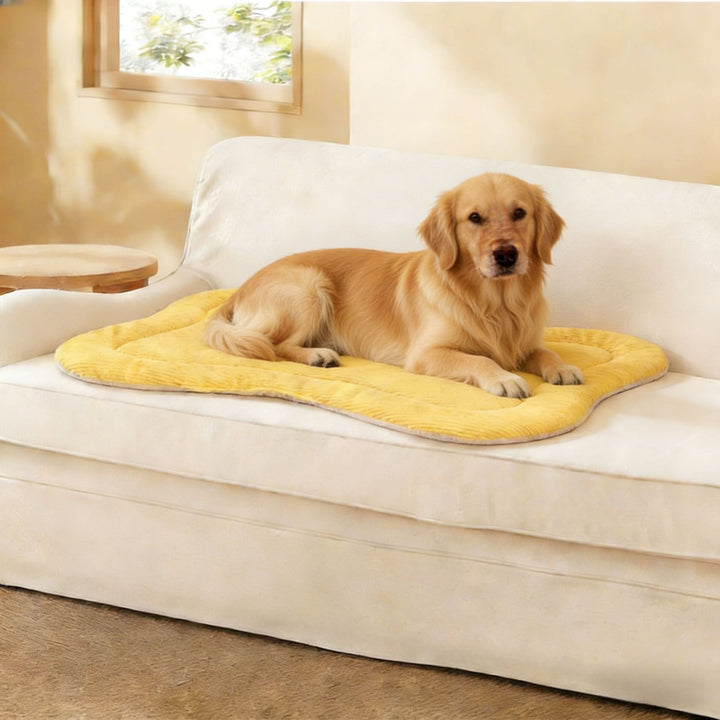 Premium hund Komfort Mat