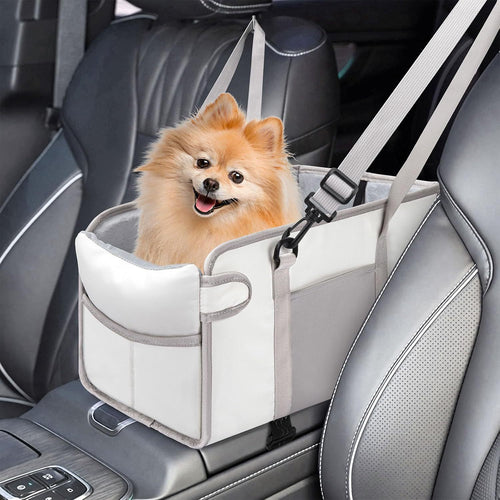 Hunde bilsete Skanto