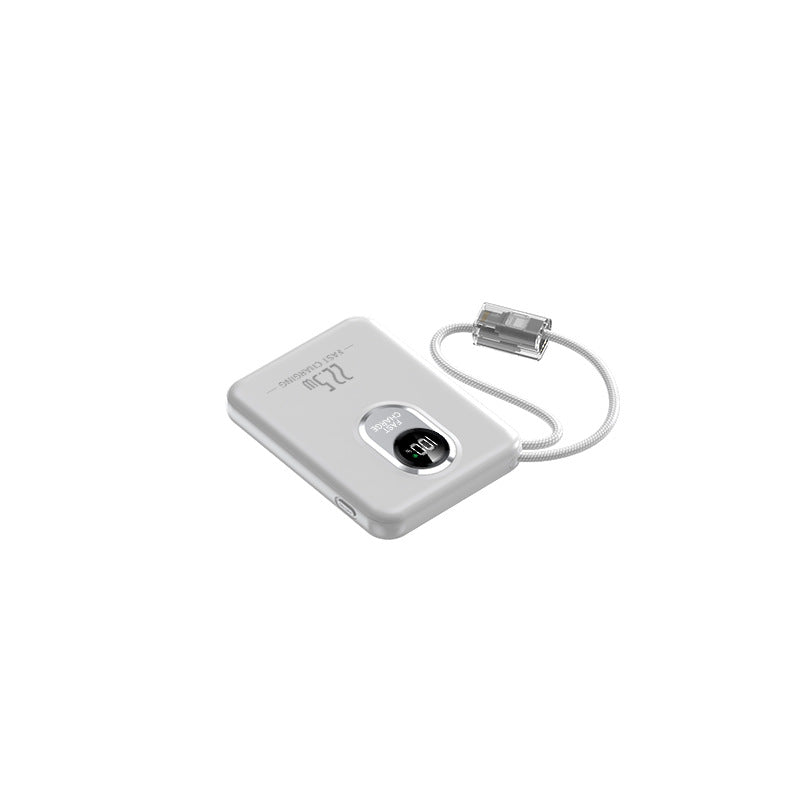 Powerbank For Skanto