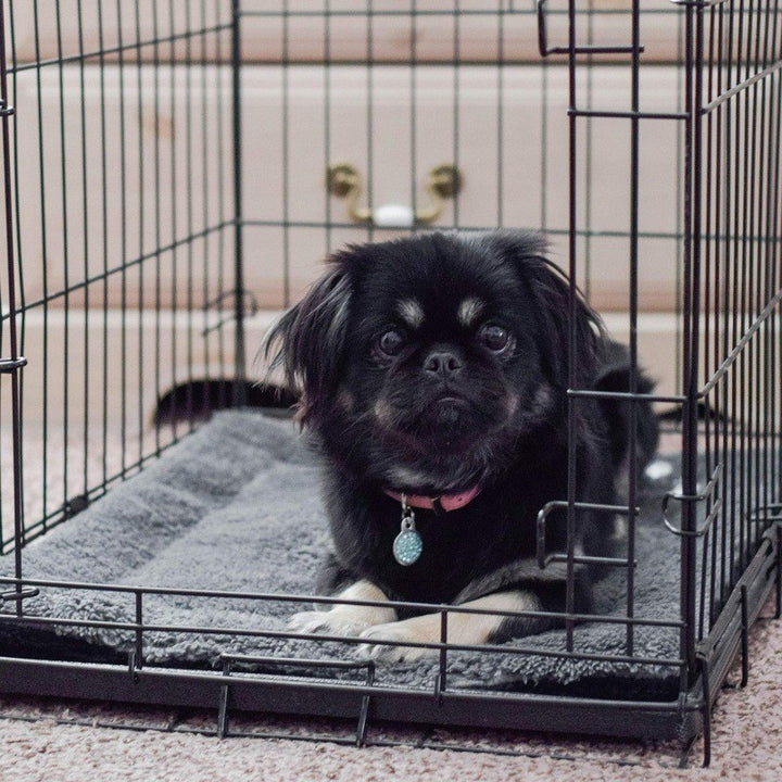 Unisex Koselig hundeseng Skanto