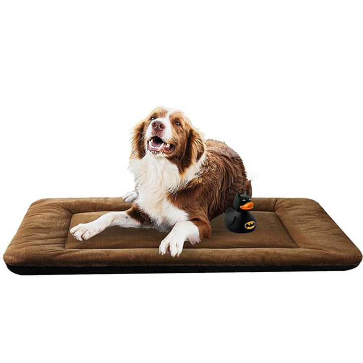 Komfort   Hundeseng