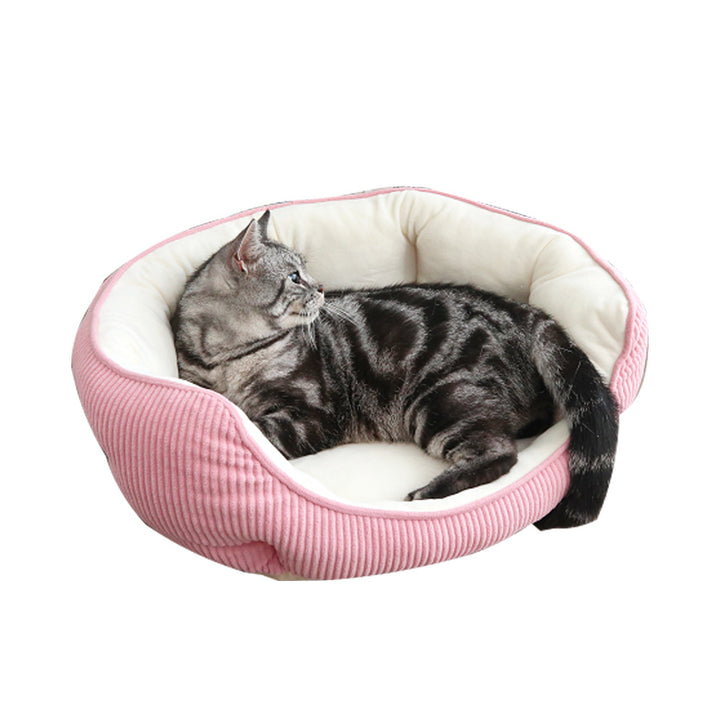 Myk Koselig Katt Reir