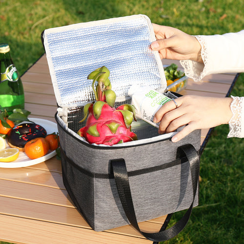 Insulated cooler bag with double protected zipper Skanto