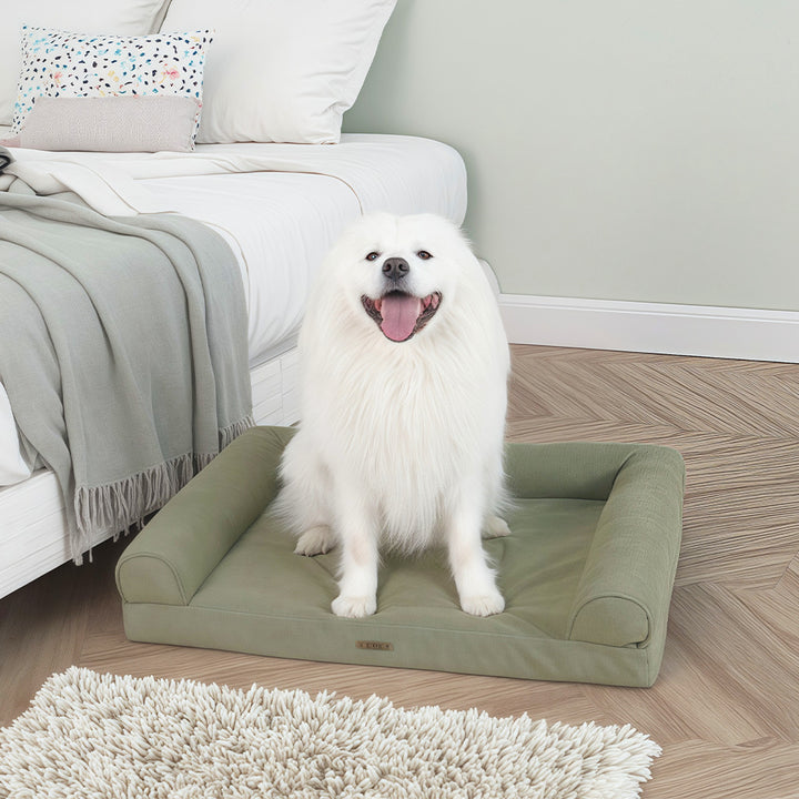 Ortopedisk hundesofa