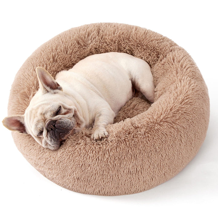 Kvinner Cozy Pet Bed Skanto