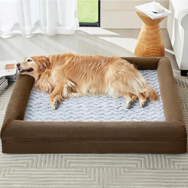 Minneksvamp Hund Loungeseng   Hundeseng
