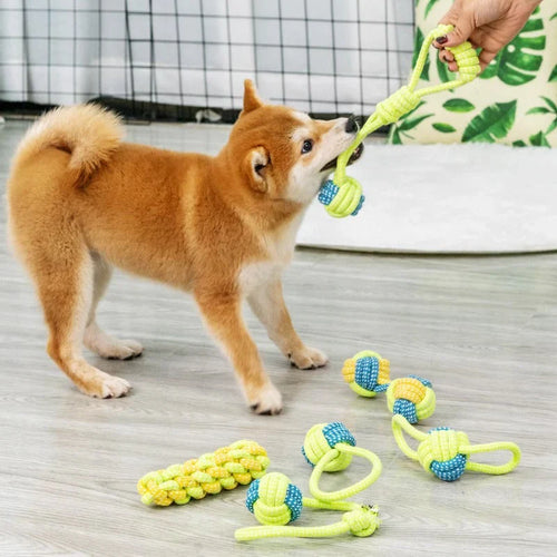 PlayPaw Tau Ball Skanto