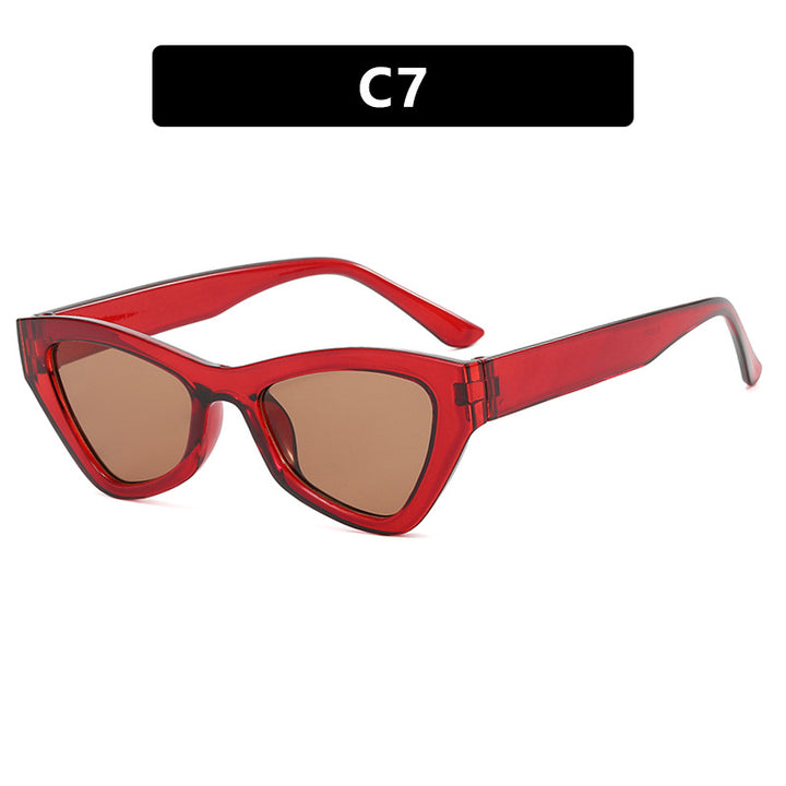 Damen modische Cat-Eye solbrille med transparent ramme Skanto