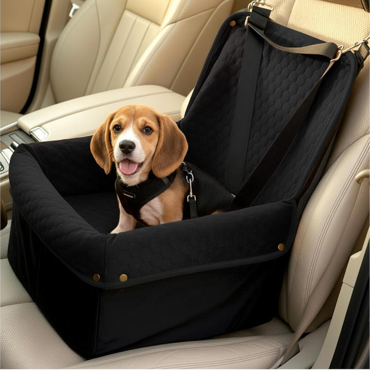 Hunde bilsete Skanto