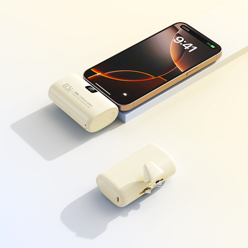 Bærbar Powerbank med Integrert Lader Skanto