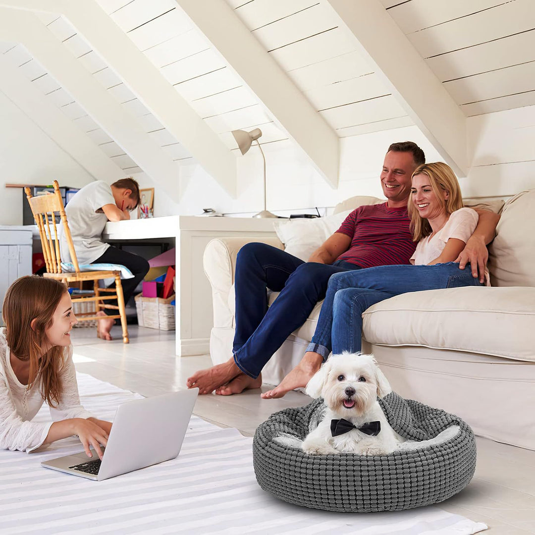 Koselig Sirkulær Hundeseng