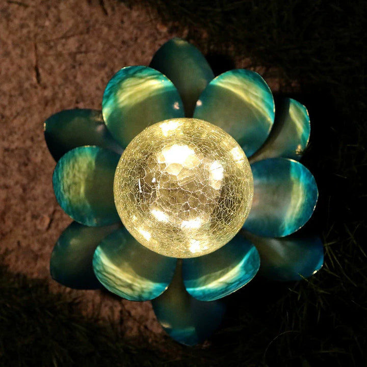 Solar Lotus Risshagenlys