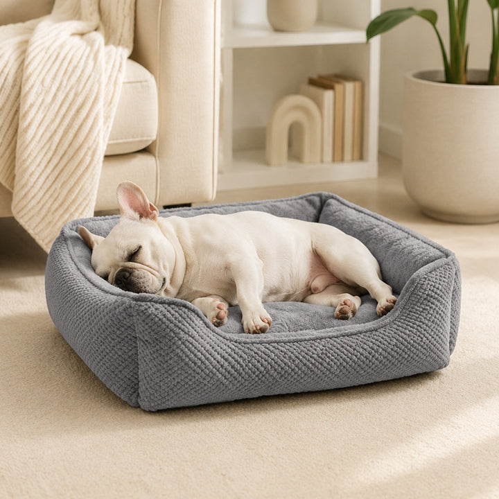 Myk Plysj Lounge Hundeseng