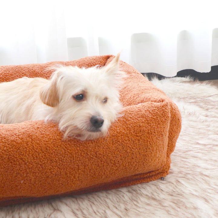 Koselig Bolstret hunde rede