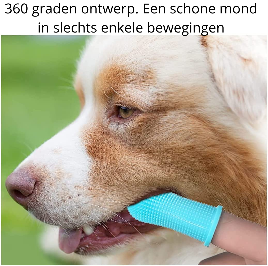Sikker hunde tannpleie for hjemmet Skanto