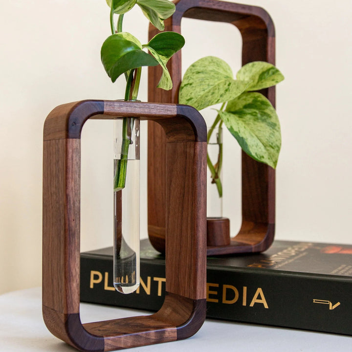 Hollow Plant Propagator Skanto
